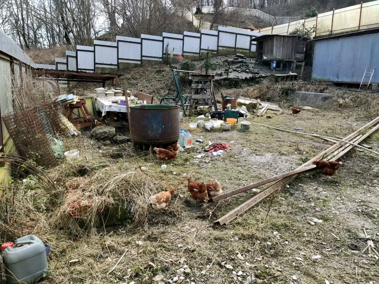 Земельный участок в Сочи - фото 2