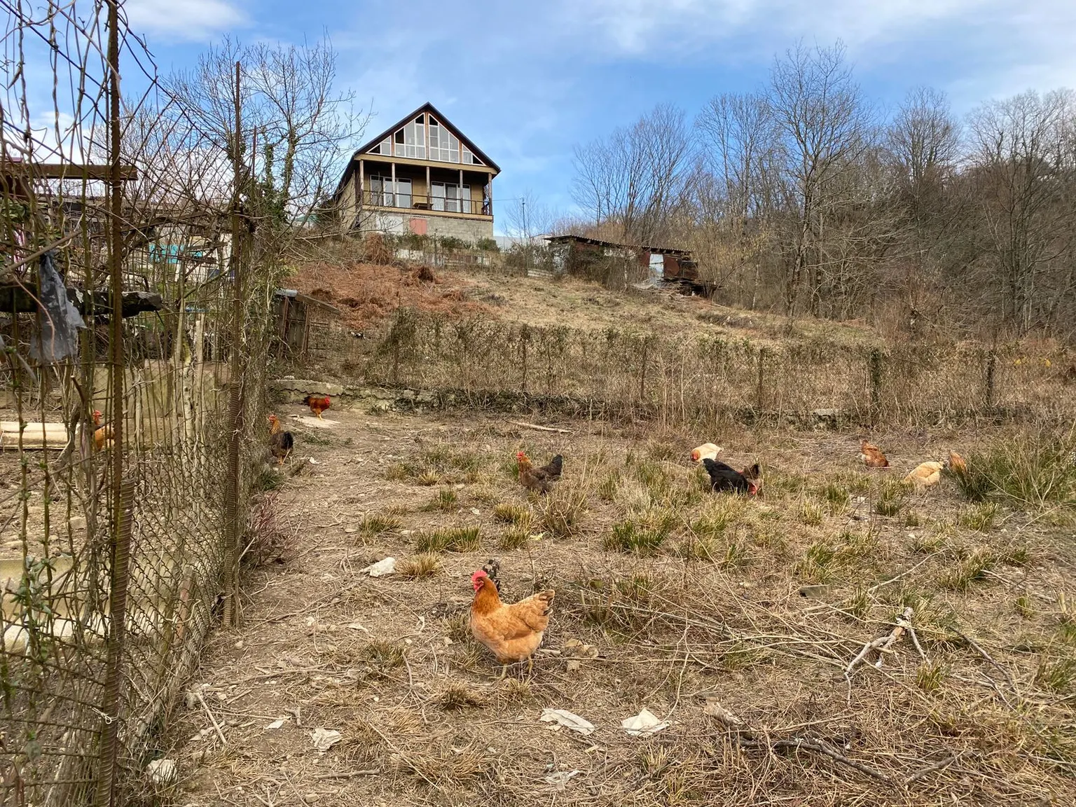 Продажа земельного участка - фото 2