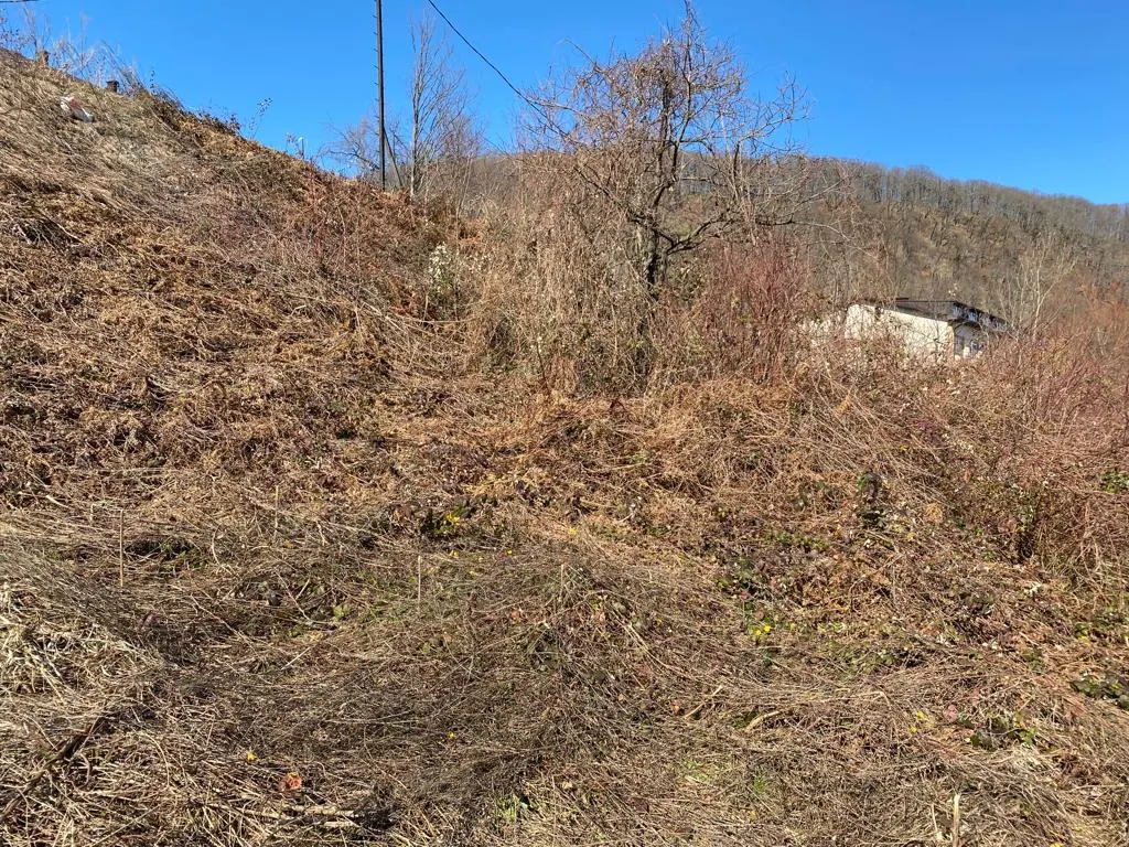 Продажа земельного участка - фото 4