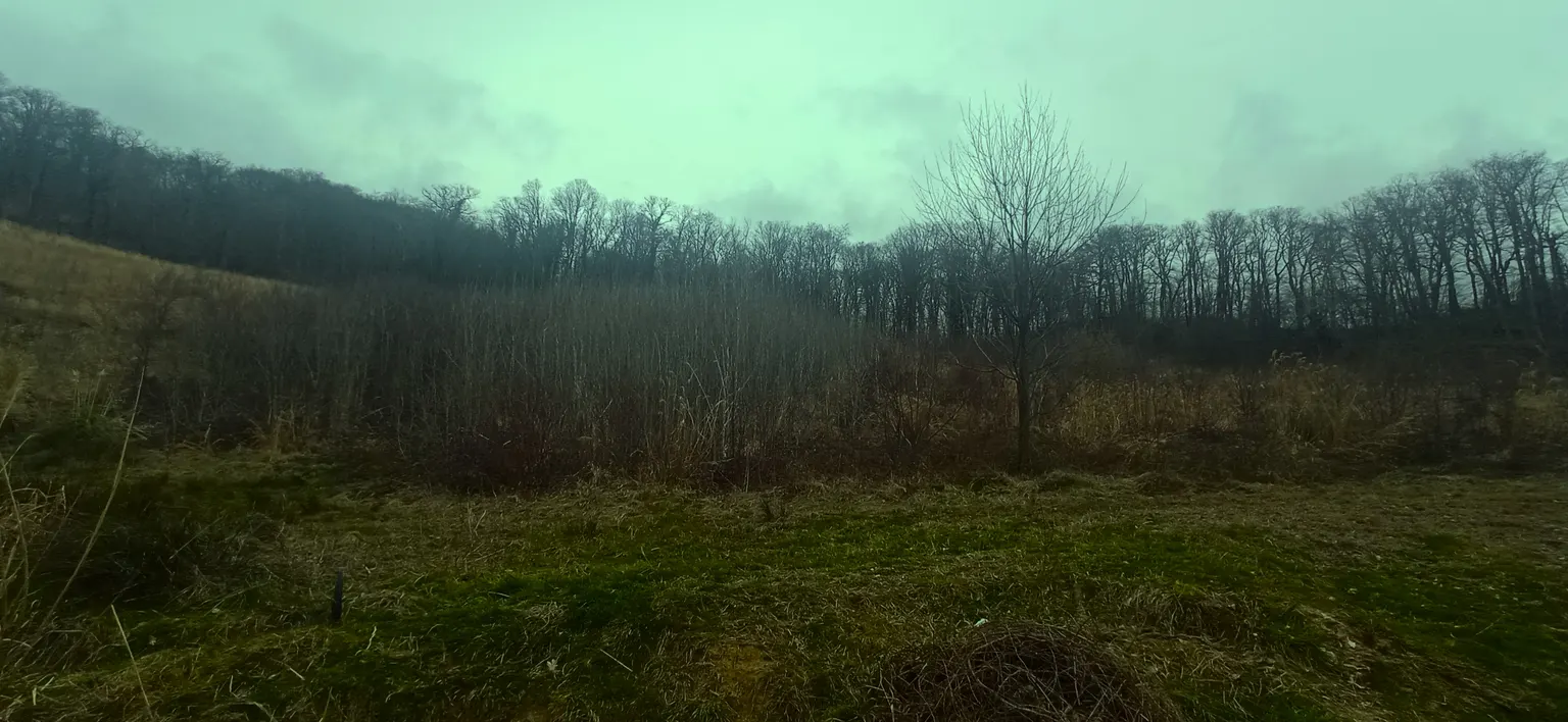 Продаю земельный участок с видом на море - фото 4