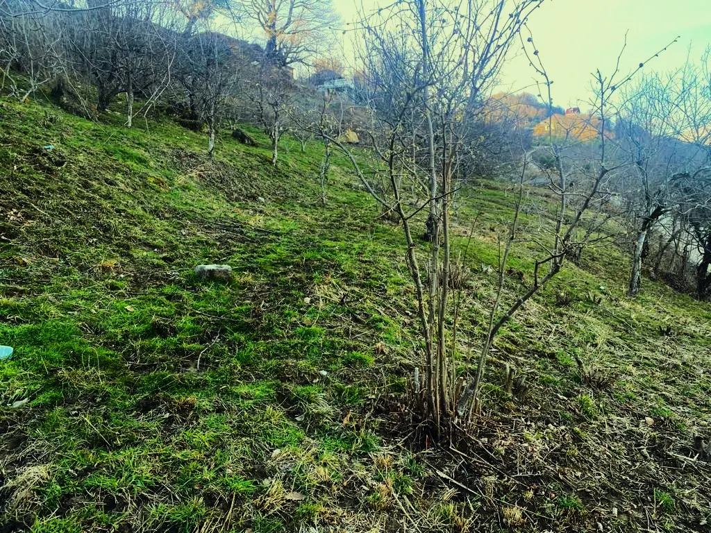 Продаётся земельный участок в Адлере - фото 4