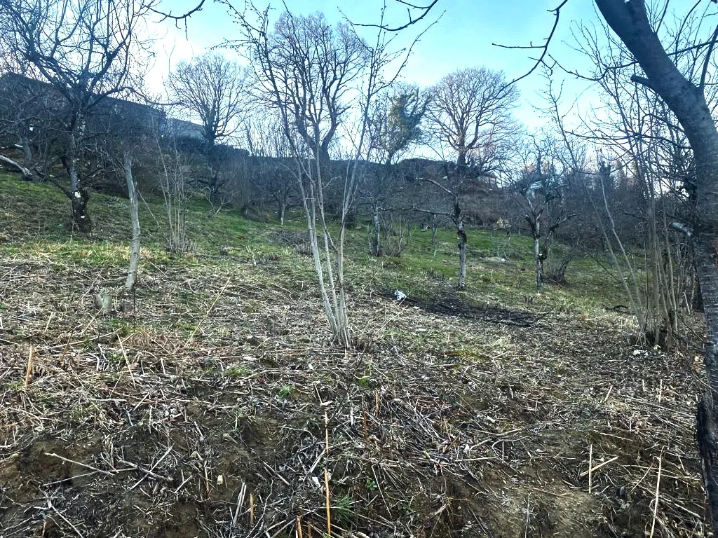 Продаю земельный участок в Адлере - фото 3