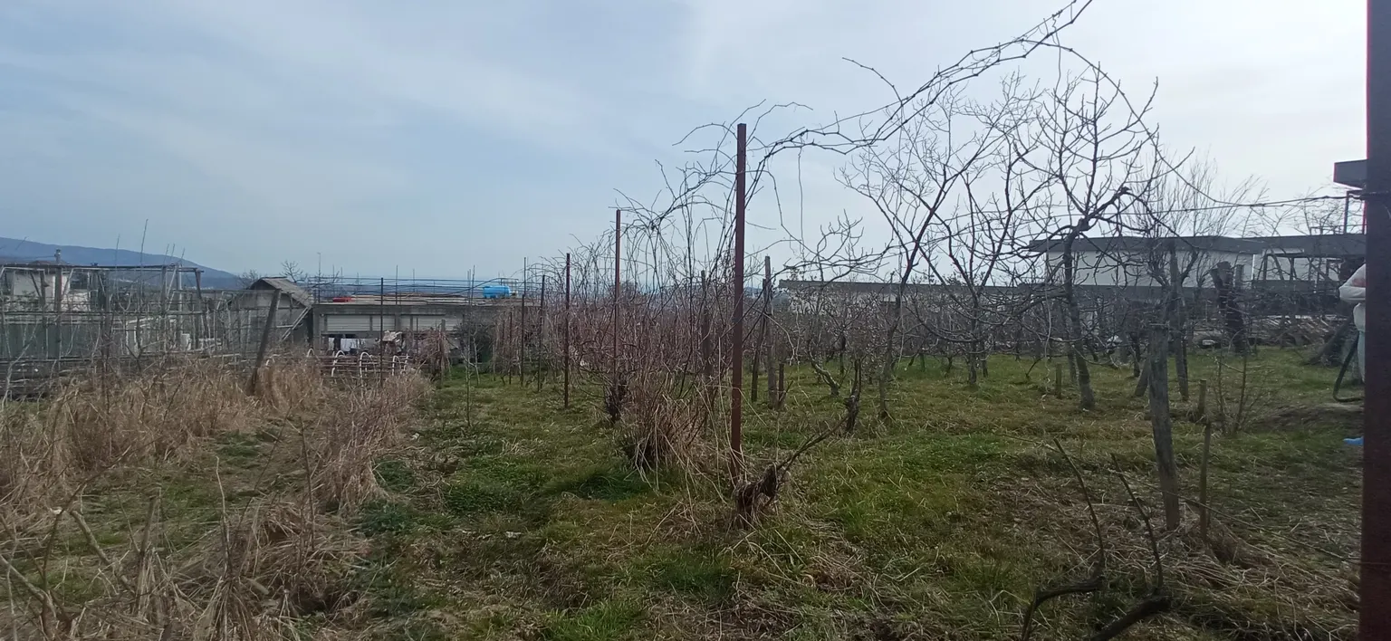 Продаю земельный участок в Адлере - фото 4