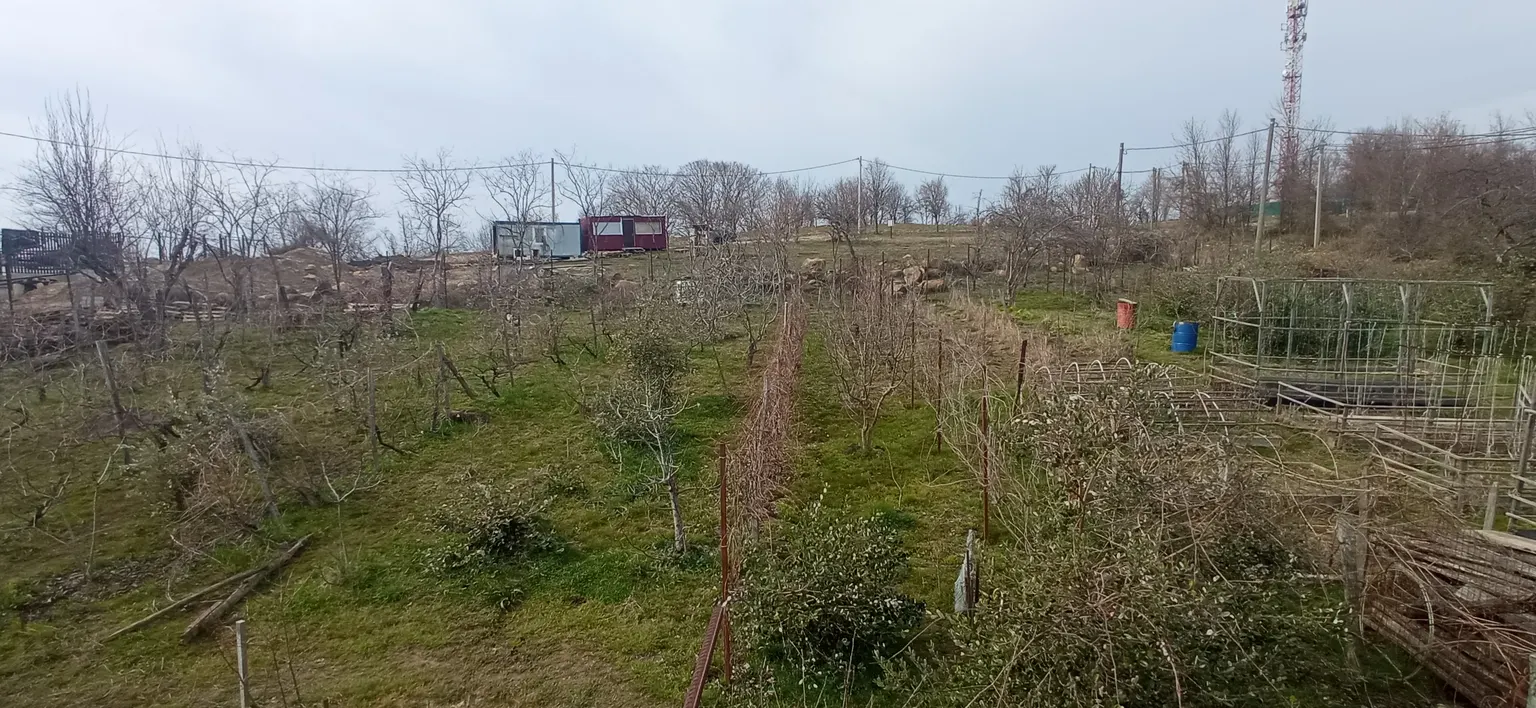Продаю земельный участок в Адлере - фото 2