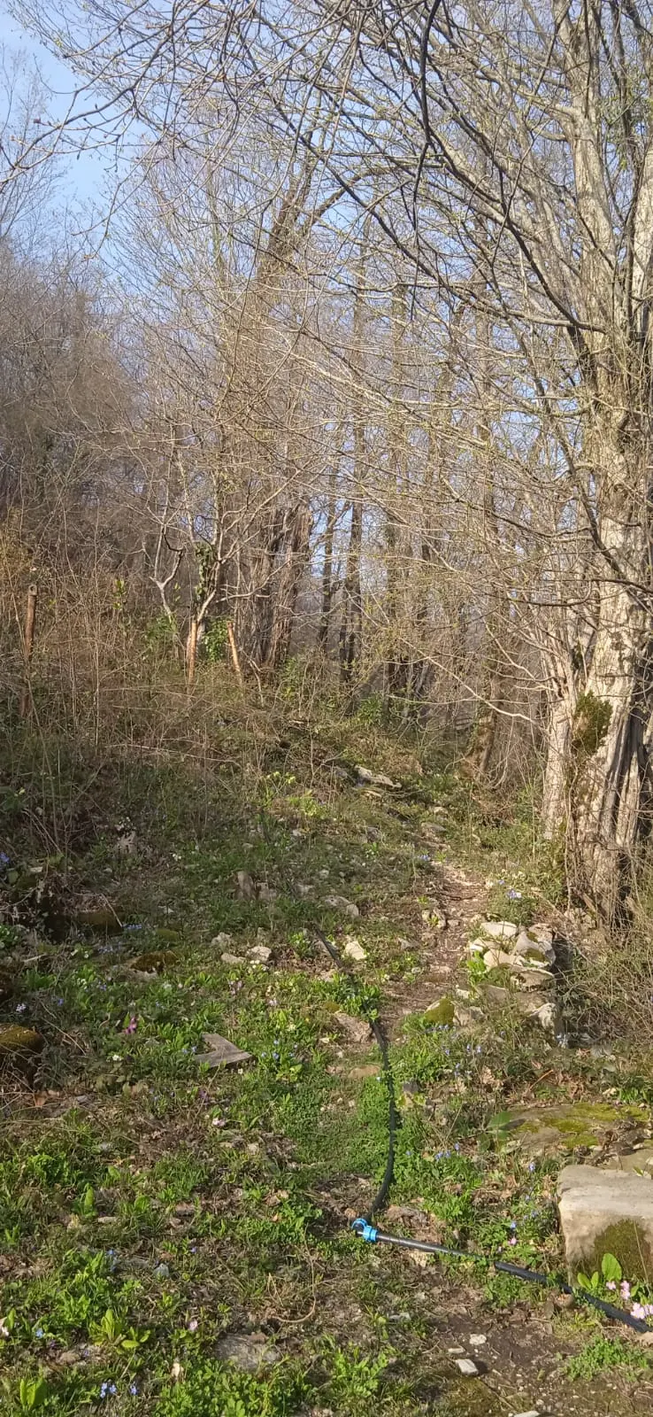 Продажа земельного участка на берегу моря в Вардане - фото 2