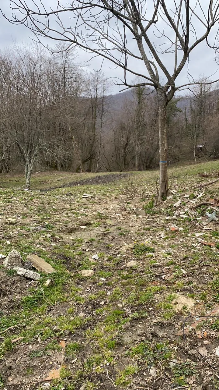 Большой участок в Лоо - фото 4