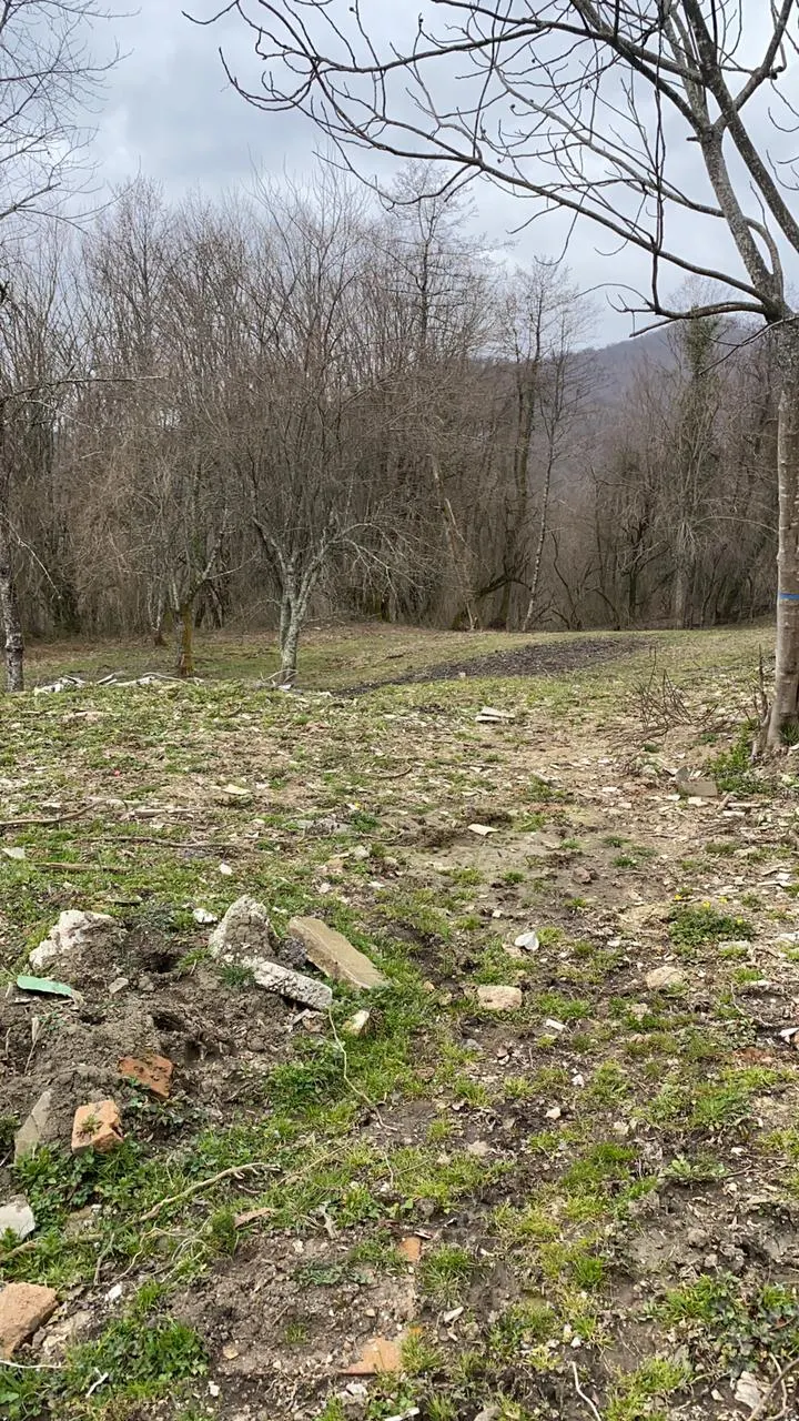 Большой участок в Лоо - фото 2