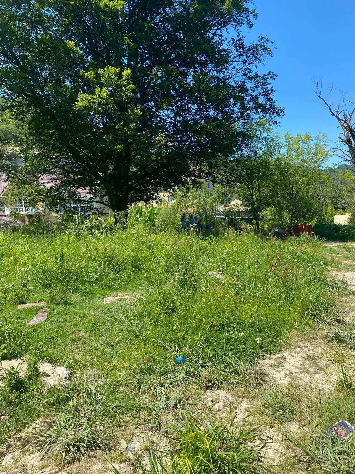 Участок в Лоо