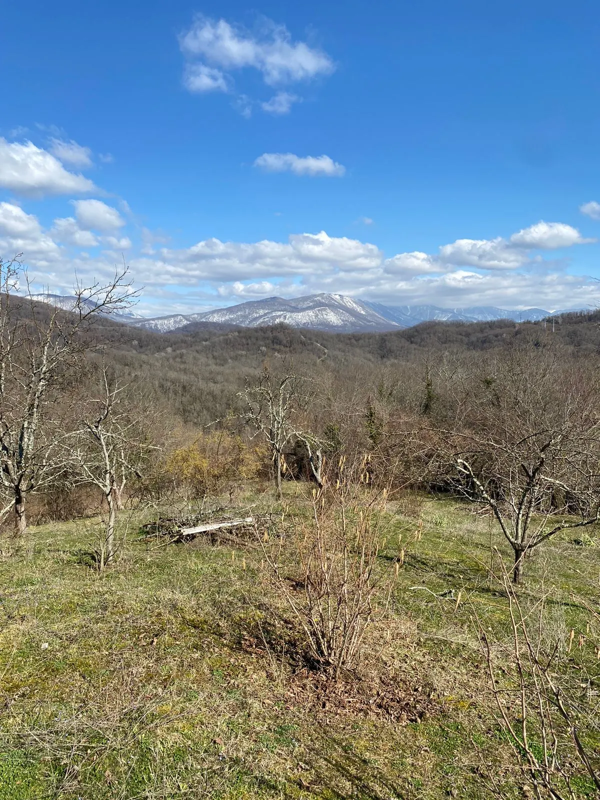 Участок в с. Илларионовка - фото 3