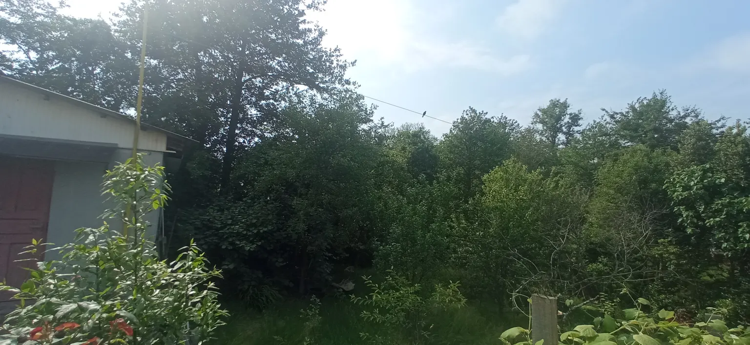 Продаю земельный участок в Адлере - фото 3