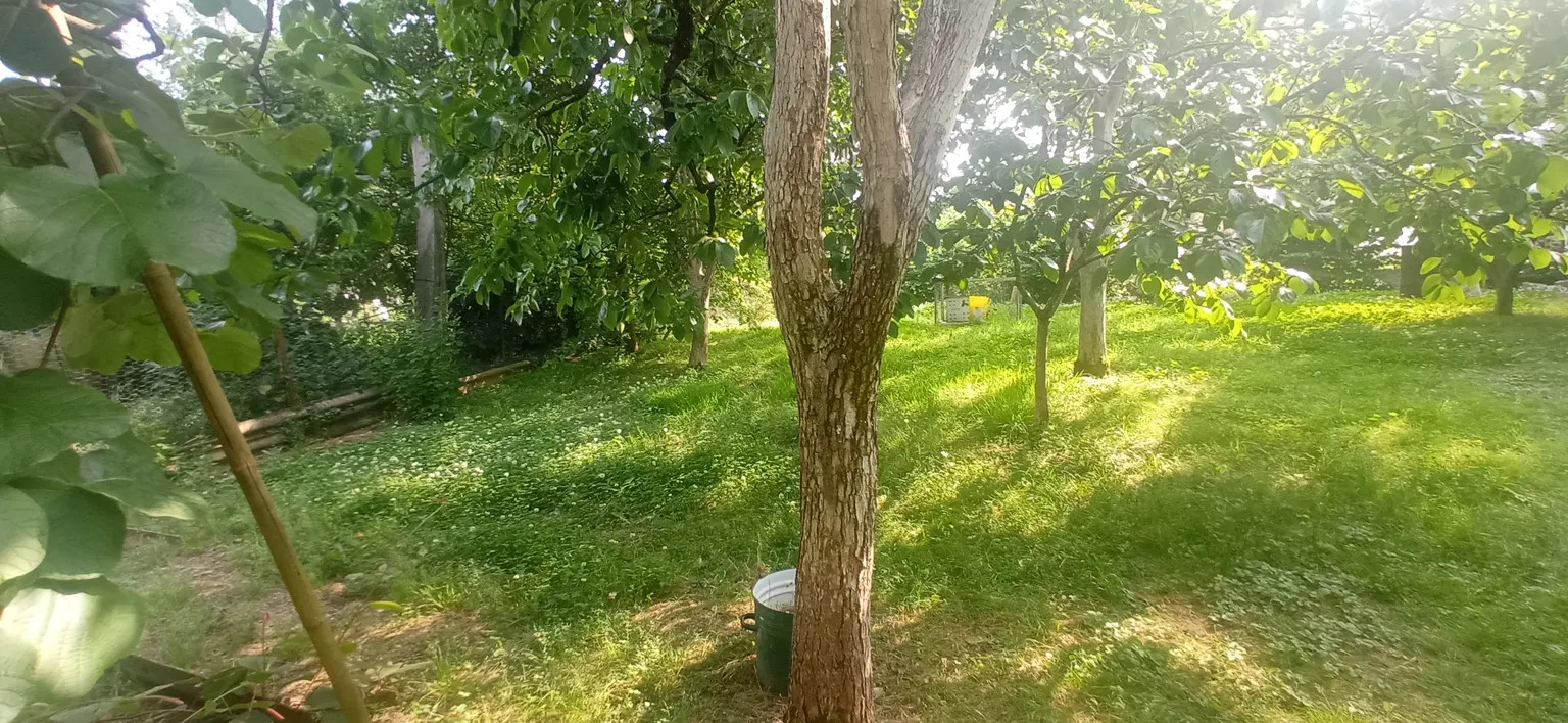 Продаю земельный участок в Адлере