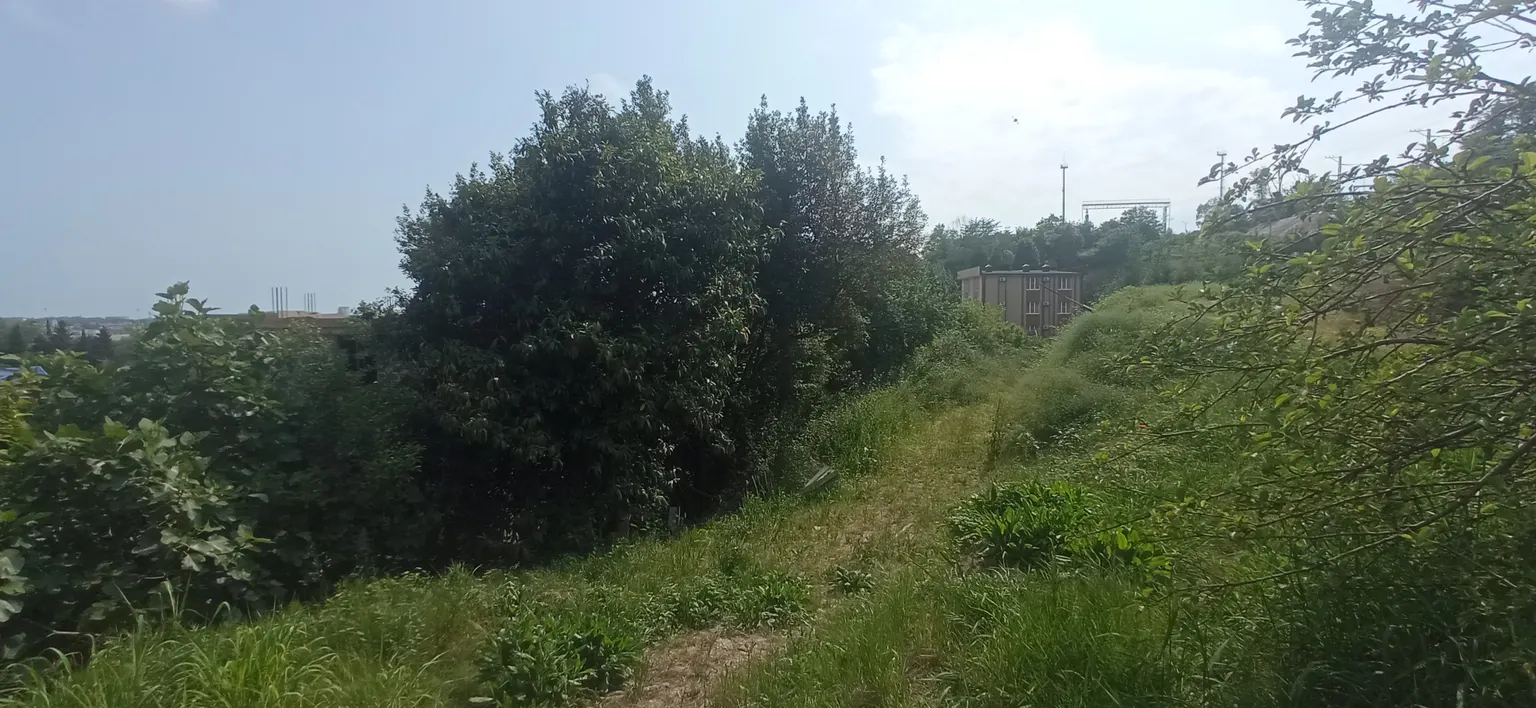 Продаю земельный участок в Адлере с разрешениями - фото 3