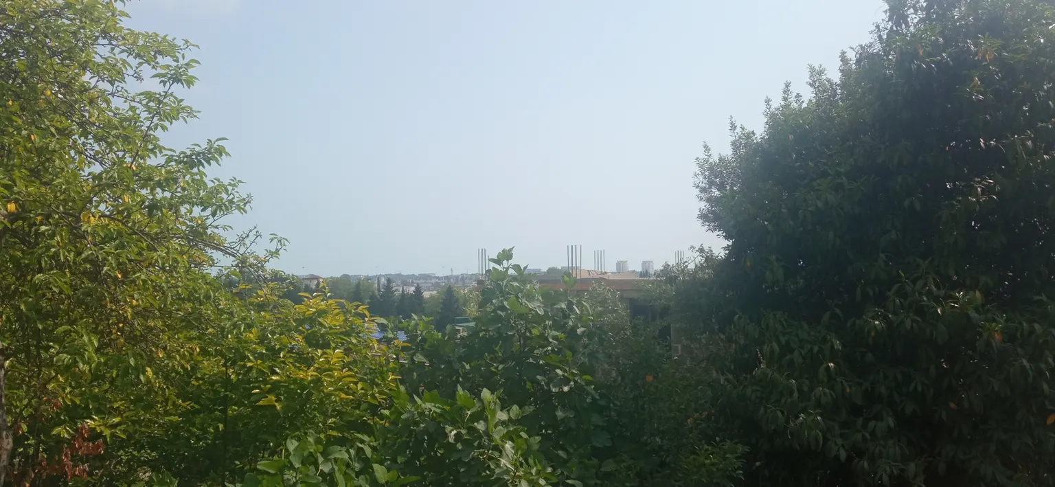 Продаю земельный участок в Адлере с разрешениями - фото 2