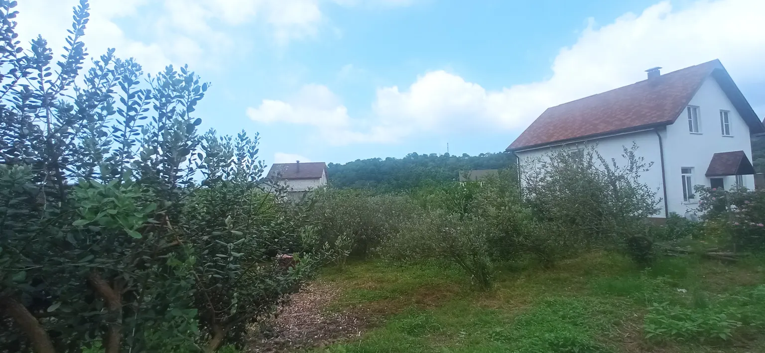Продаю земельный участок в Адлере - фото 4