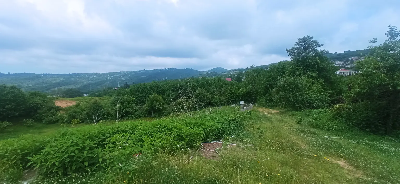 Продаю земельный участок в Адлере - фото 2