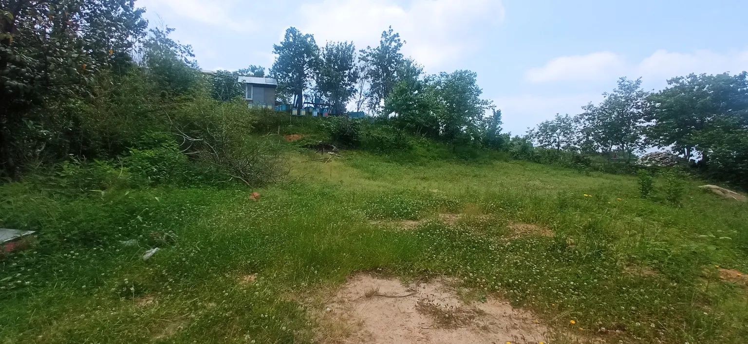 Продаю земельный участок в Адлере - фото 4