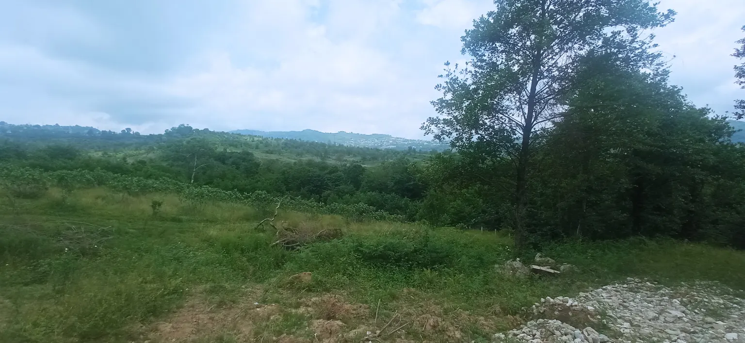 Продаю земельный участок в Адлере - фото 2