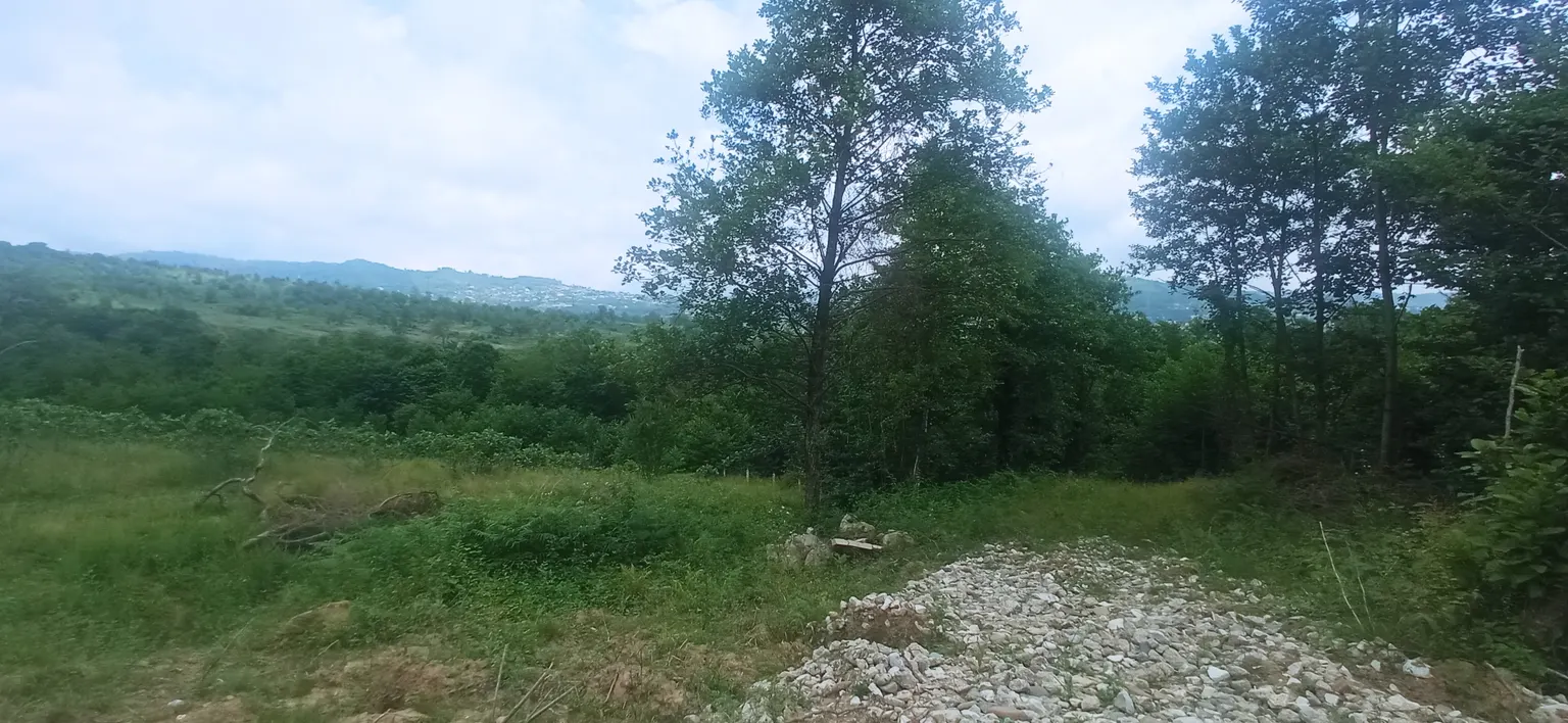 Продаю земельный участок в Адлере - фото 3