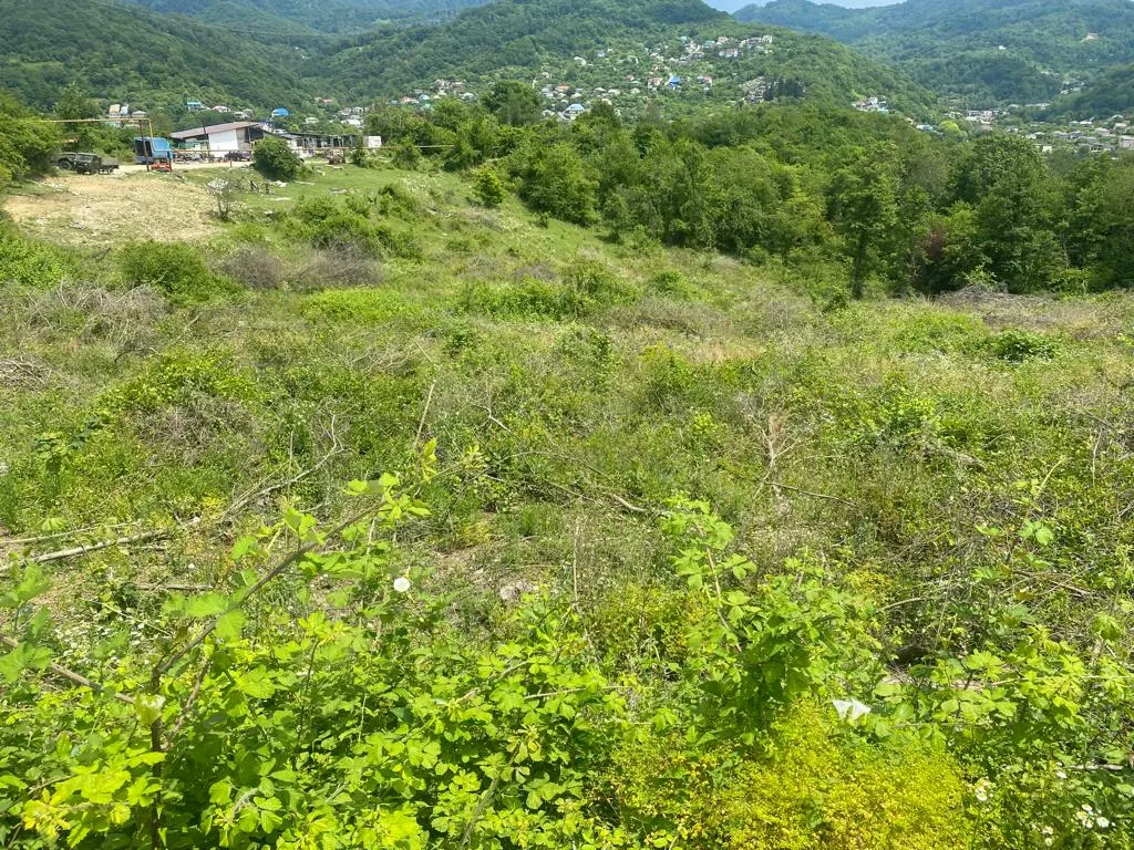 Продажа земельного участка в п. Горное Лоо - фото 2