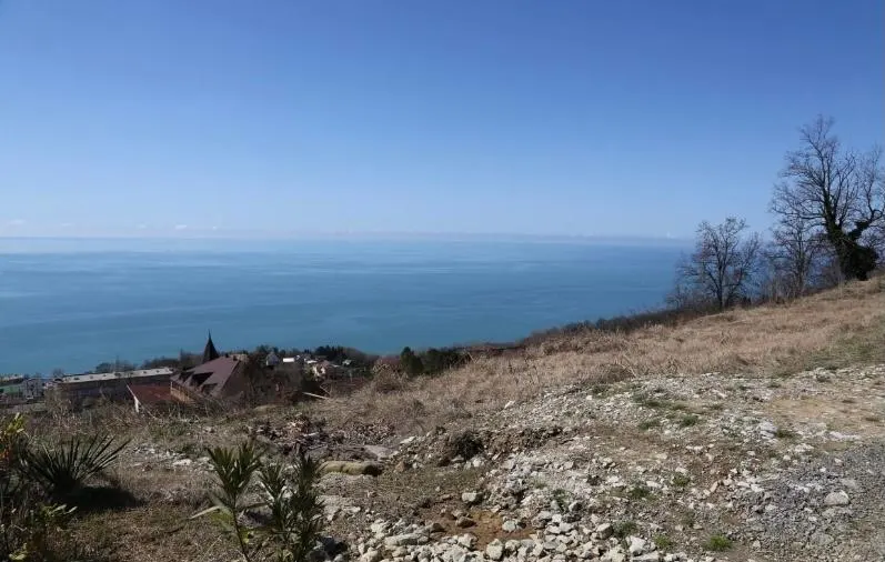Земельный участок в Хосте - фото 3