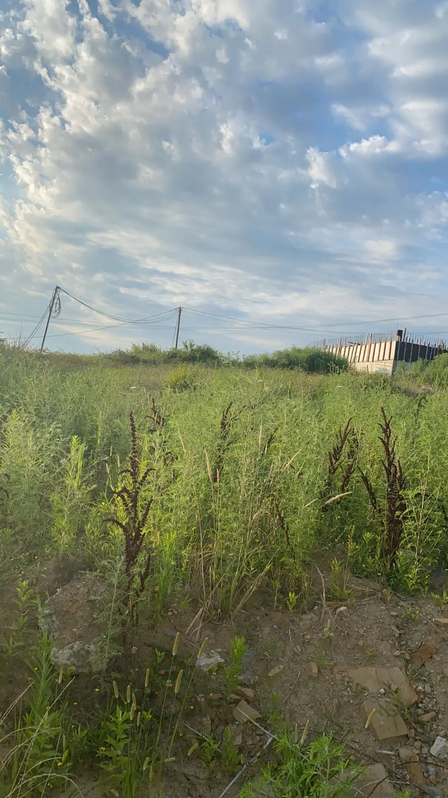 Участок на Владимировской - фото 4