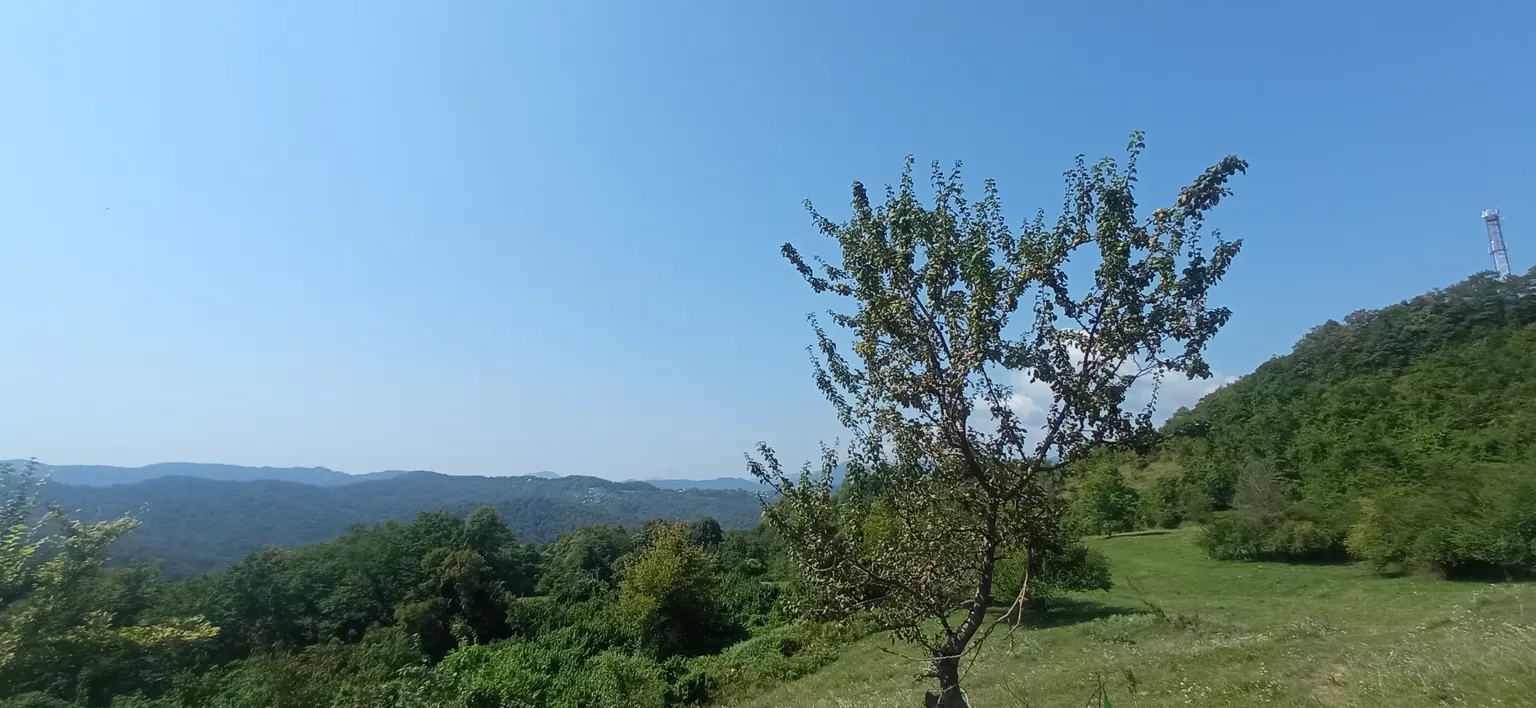 Продаю земельный участок в Красной Воле