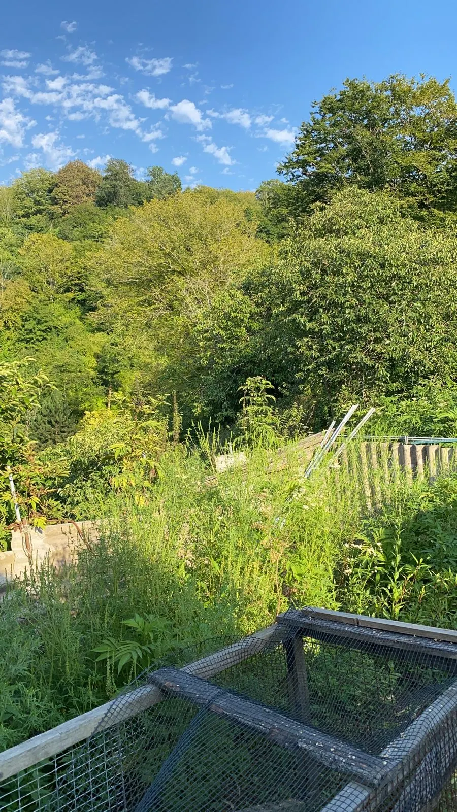 Небольшой дом в Горном Лоо - фото 3