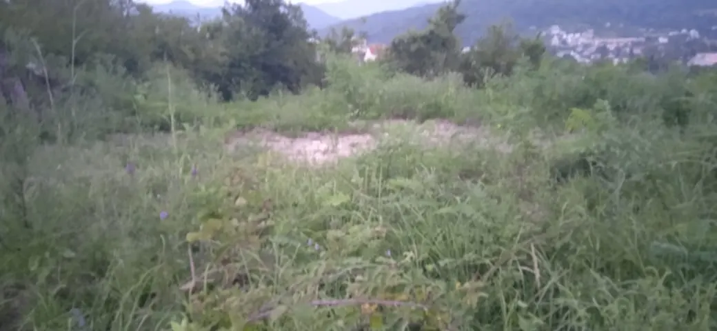 Продажа земельного участка в п. Вардане - фото 2