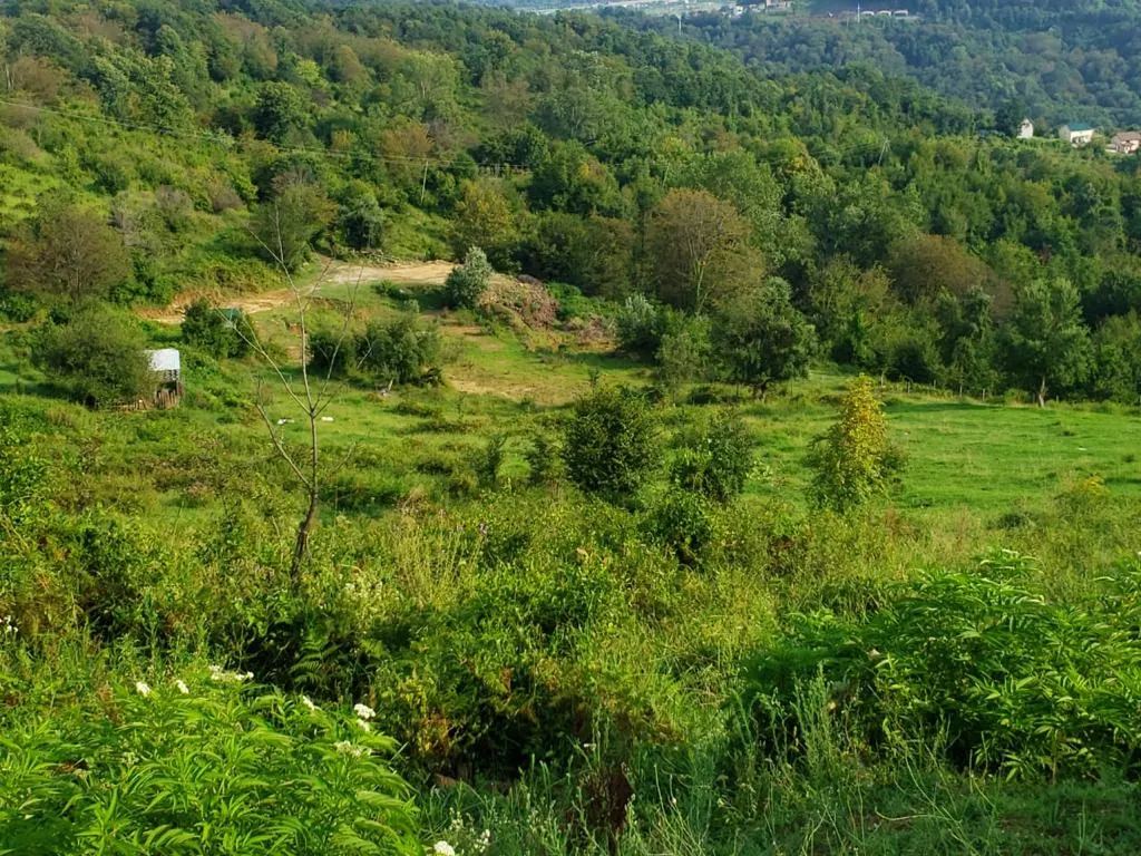 Земельный участок в Якорной щели - фото 2