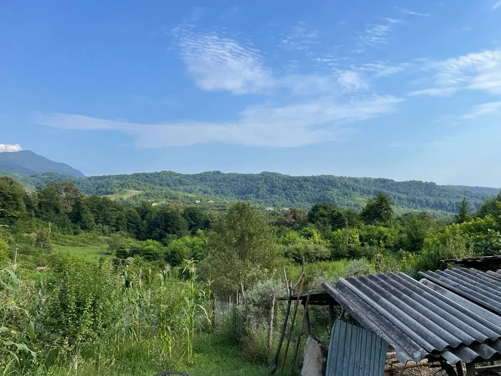 Участок на Ленинградской - фото 4