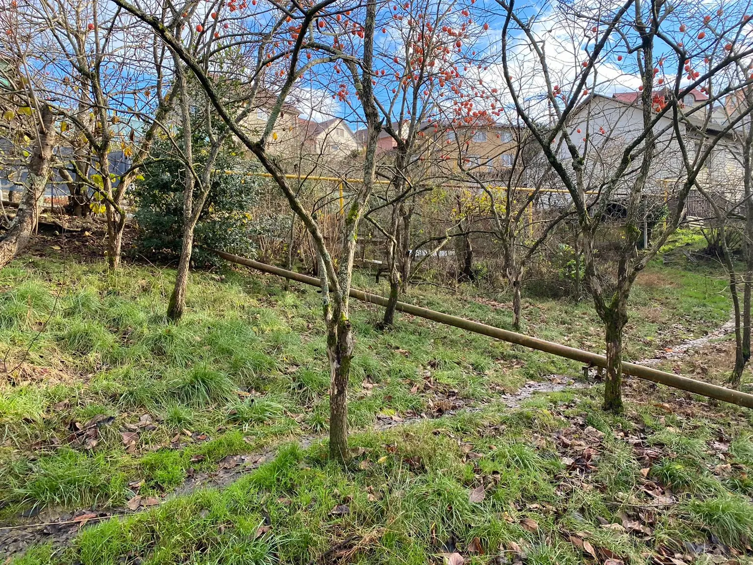 Продажа земельного участка в п. Нижняя Беранда - фото 3