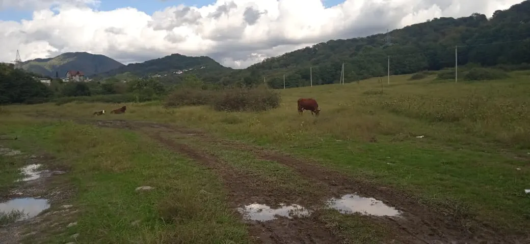 Продажа земельного участка в п. Лоо - фото 3
