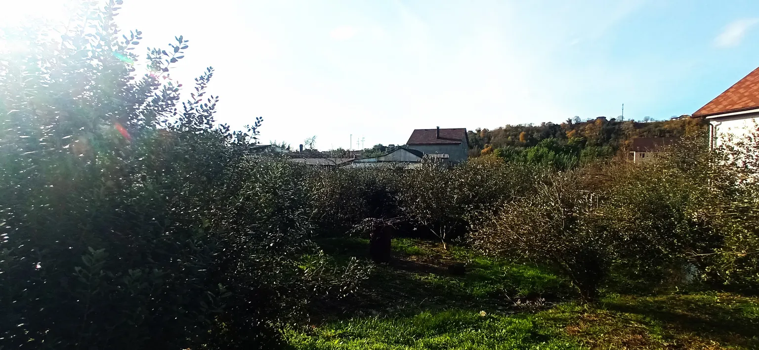 Продаю земельный участок в Сириусе - фото 3