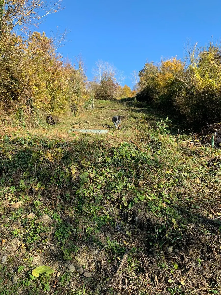 Участок в Сочи - фото 3