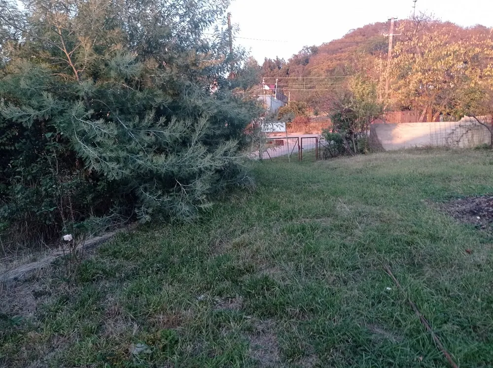 Участок в Сергей Поле
