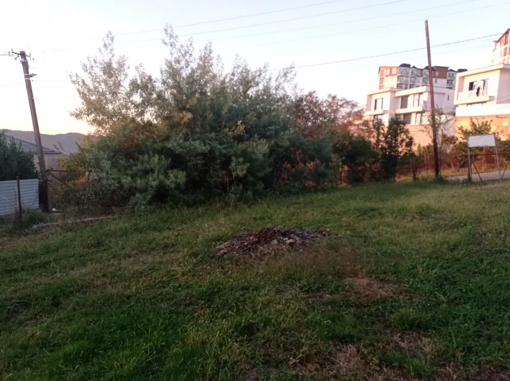 Участок в Сергей Поле - фото 2