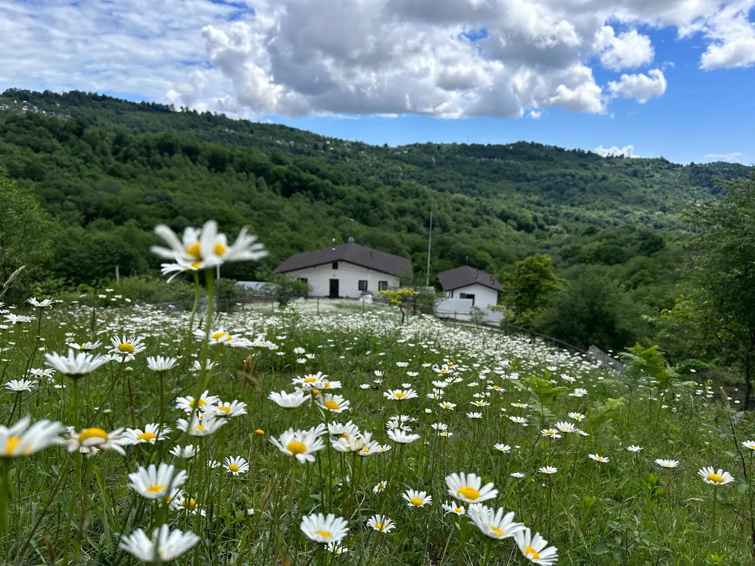 Дом Вашей мечты в Эко поселке - фото 2