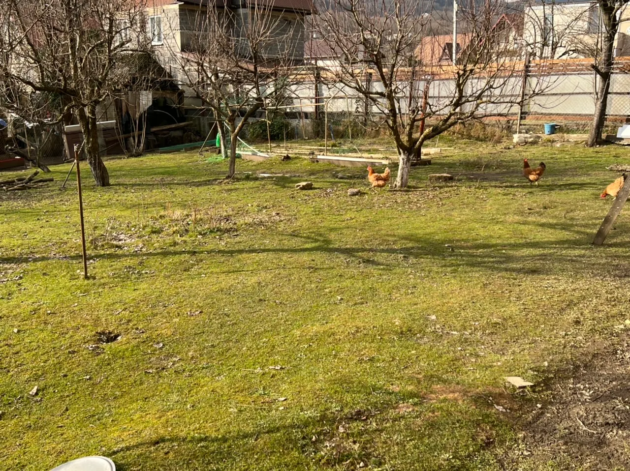 Продаётся дом с большим плодовым садом - фото 2