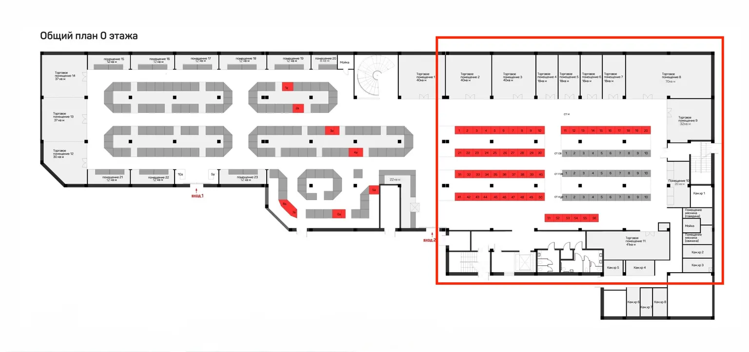 Аренда 500 м² в Сириусе — ТЦ «Мирный», высокий трафик - фото 3