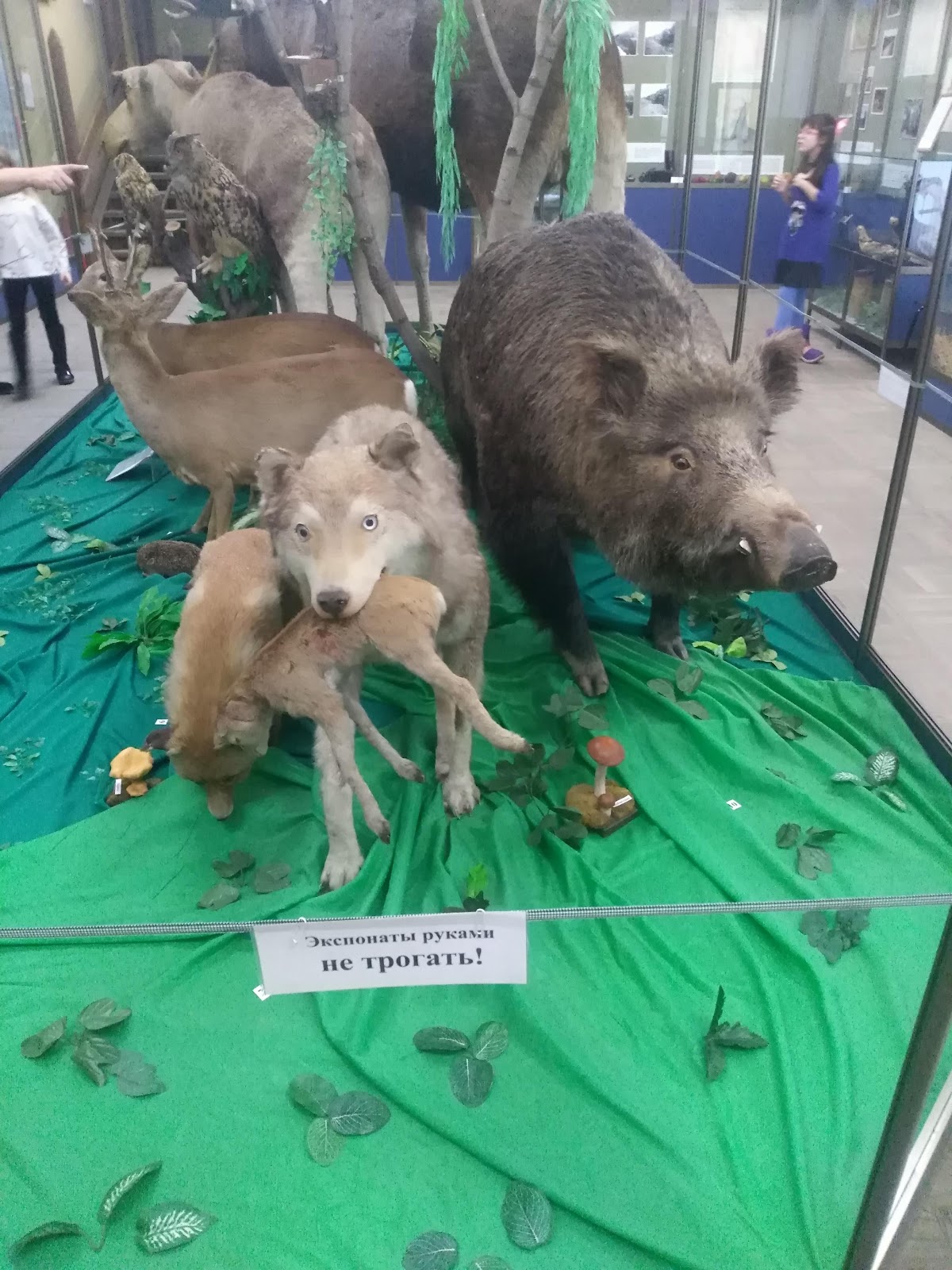 Старооскольский краеведческий музей