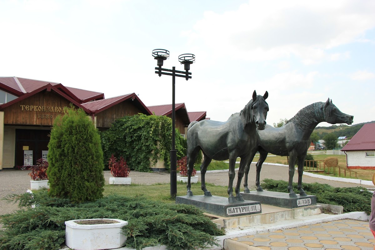 Терский племенной конный завод