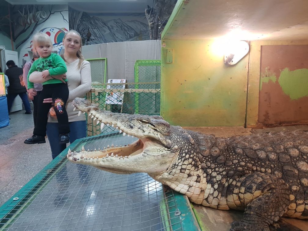 Междуреченский городской краеведческий музей