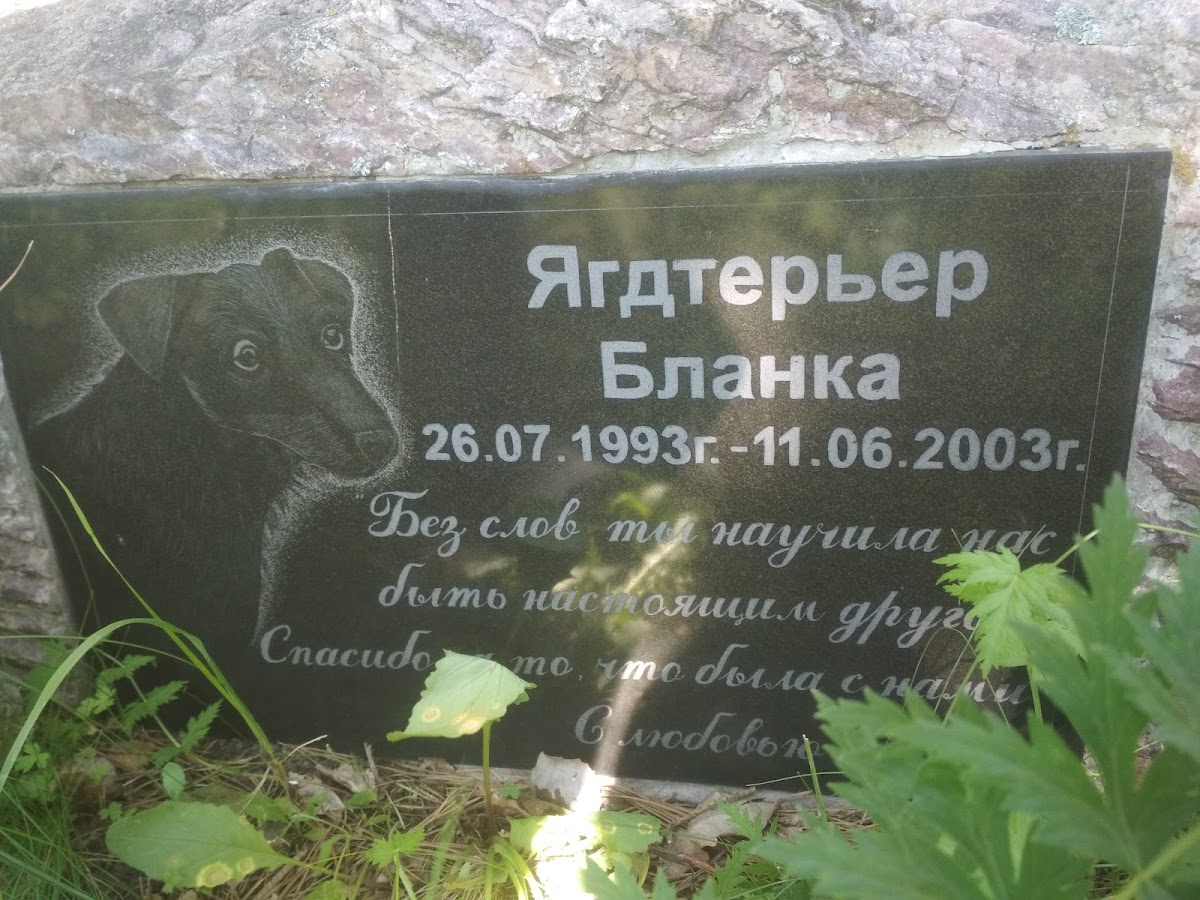 Памятник собаке "Ягдтерьер Бланка"