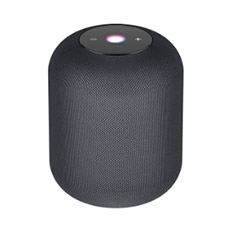 Smart Speakers