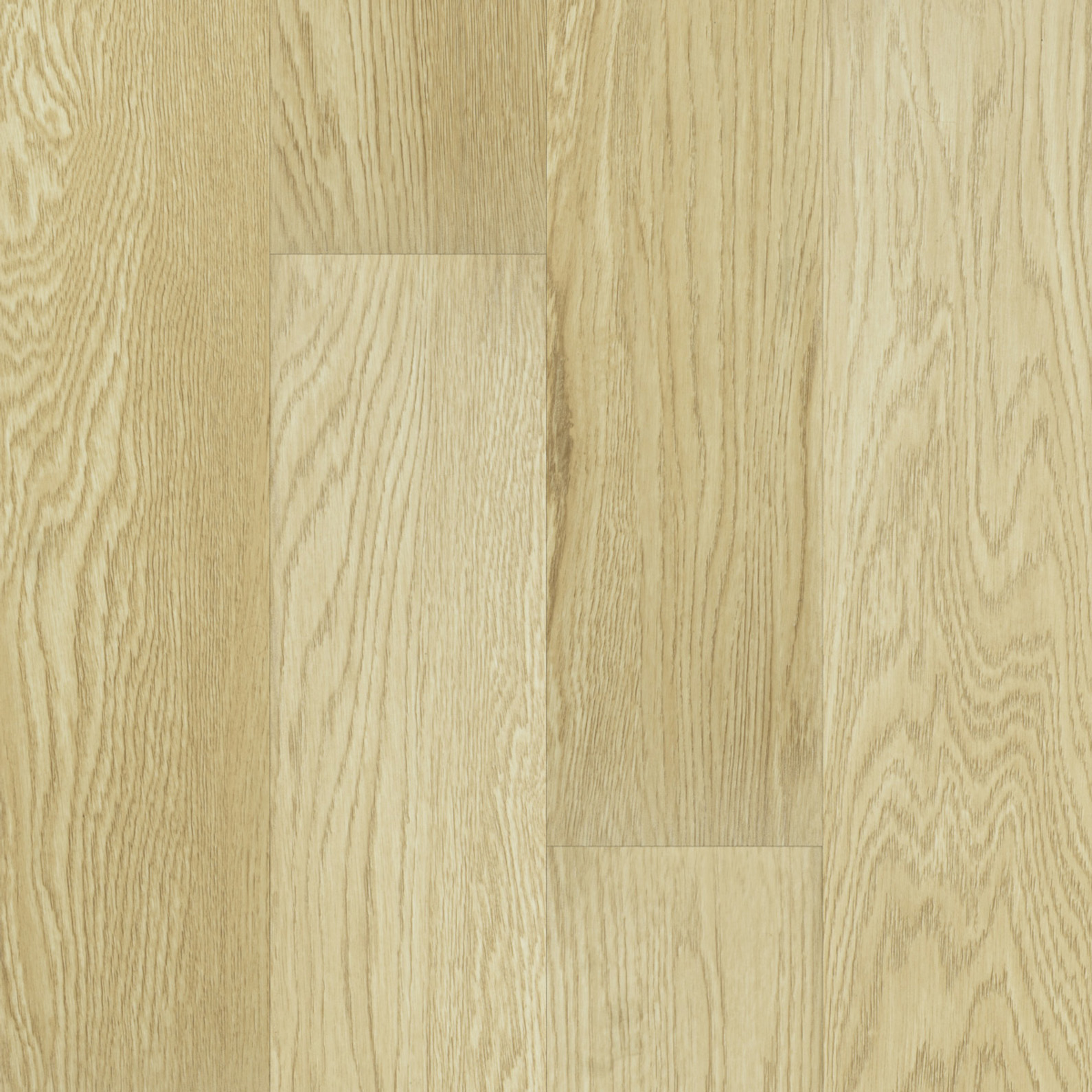 bavobwkb4owb9ttsed4ja4nle5mdpbyo