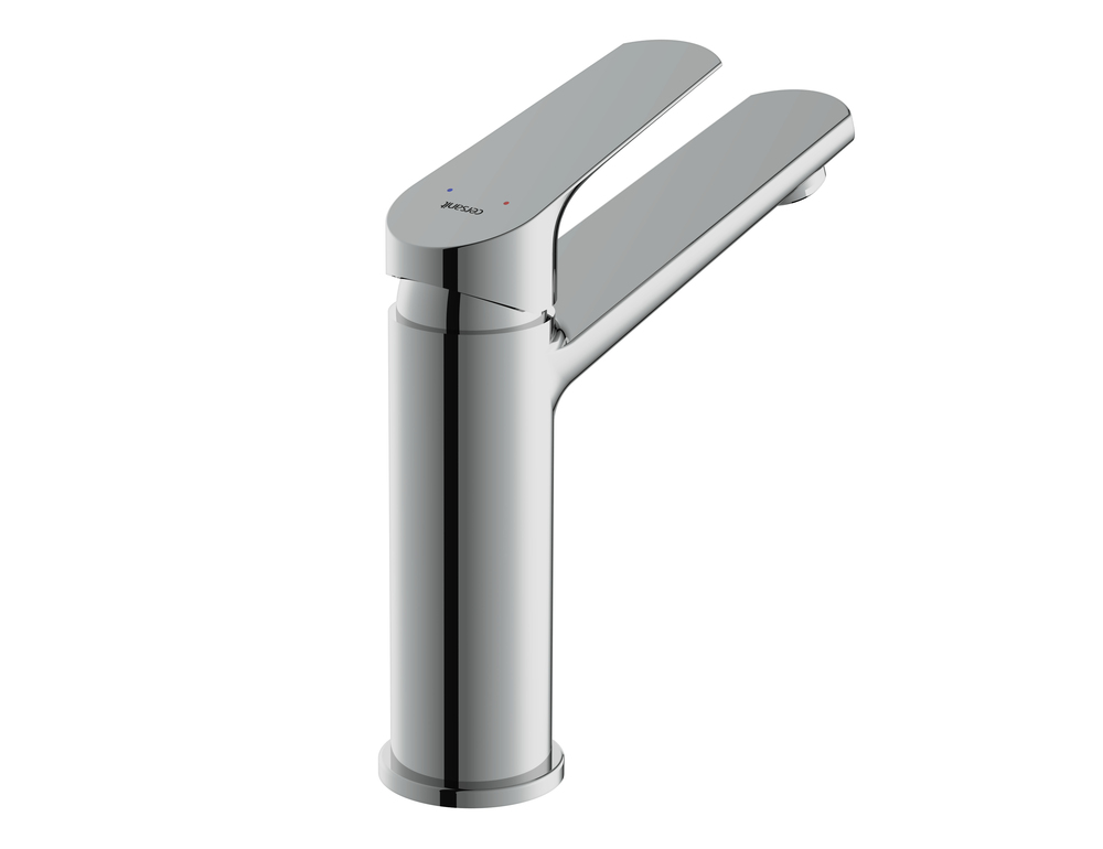 flavis_dlya_rakovinyvid_szadi1