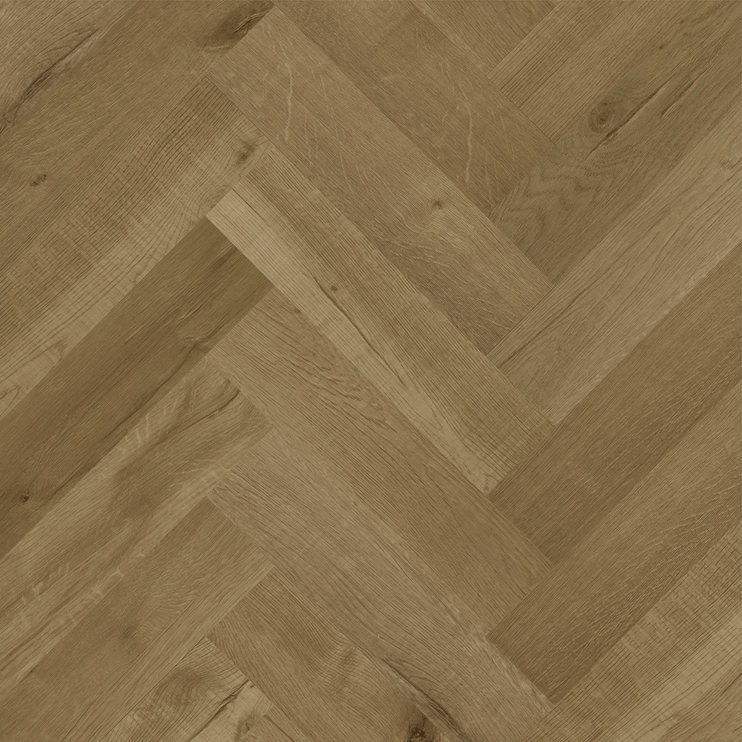 дуб робуста