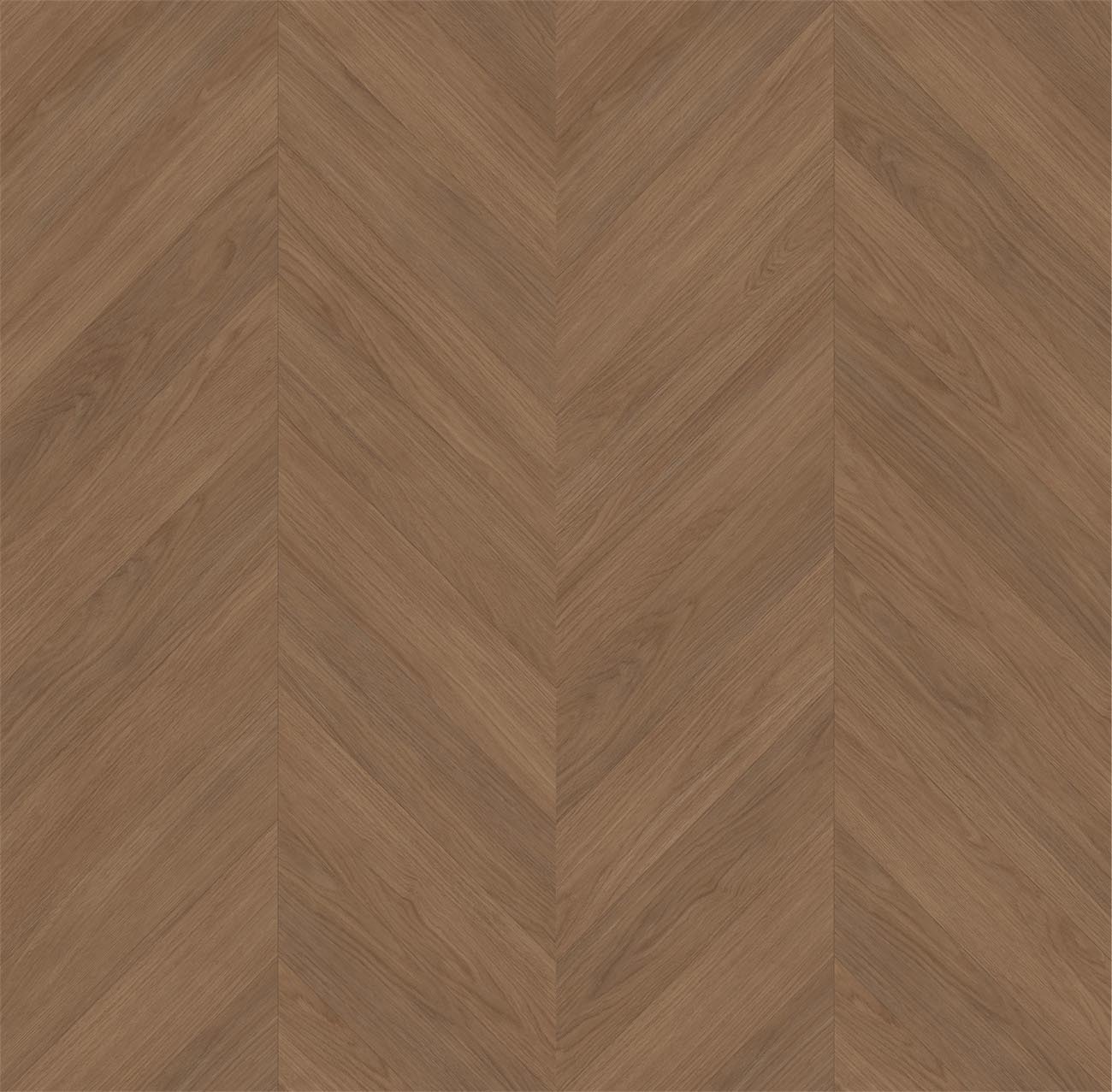 ff2615fca57218a476cb877b396fc595