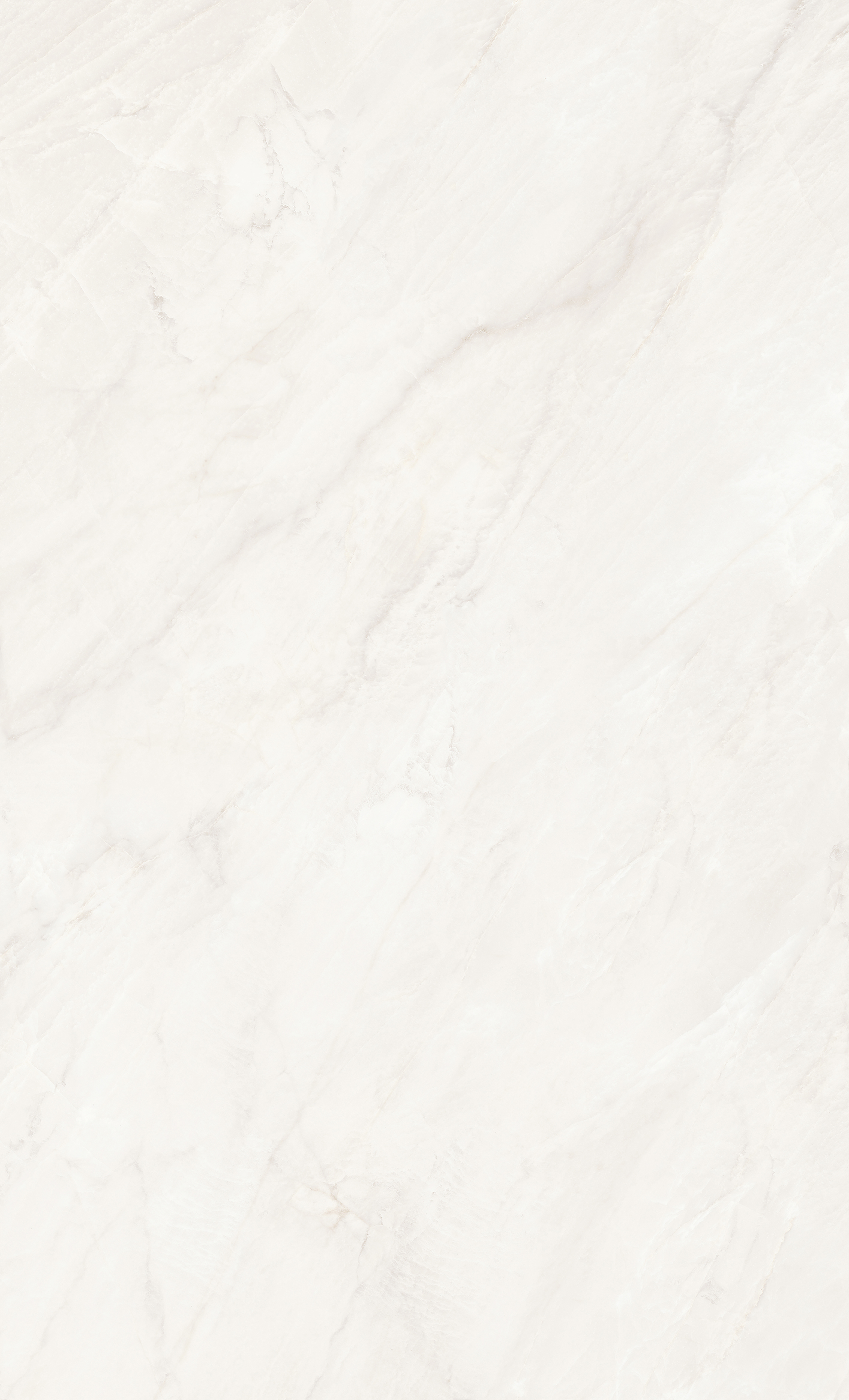 RL-8135-1PD-M_01
