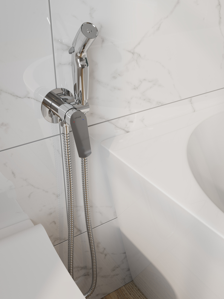 int_moduo64094_64100_flavis64104_1_2